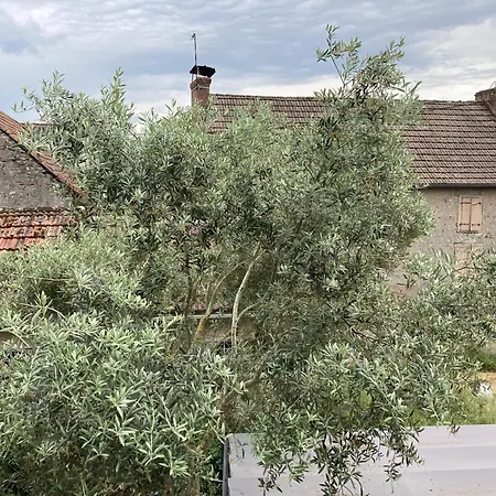 Location Appartement Des Pyrenees Borderes-sur-l'Echez Room photo