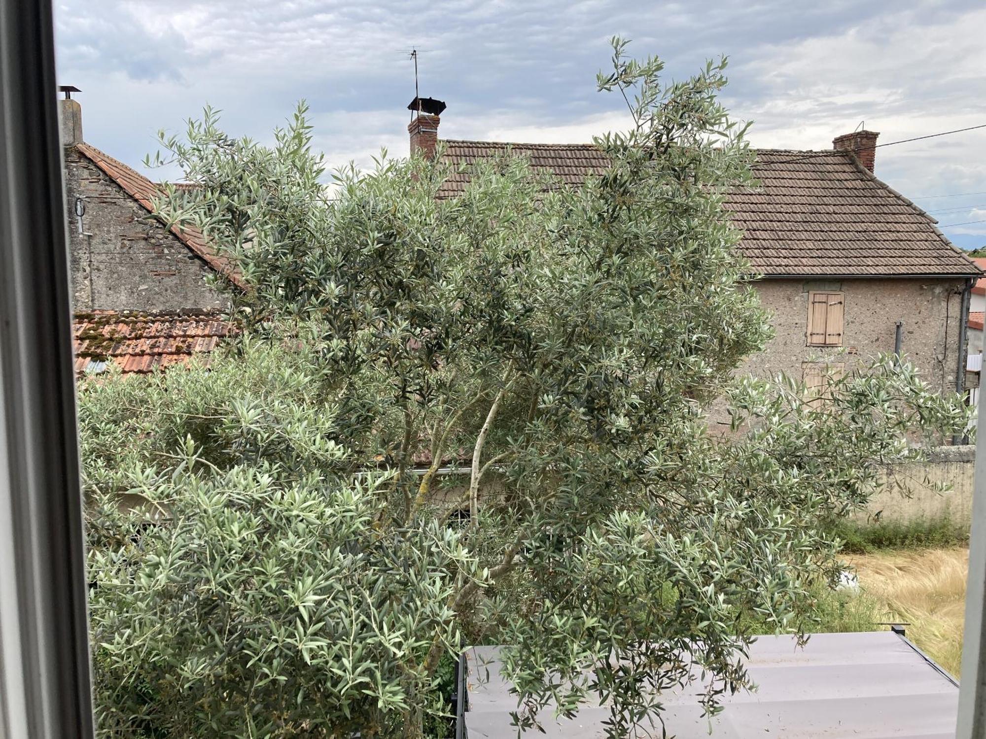 Location Des Pyrenees *